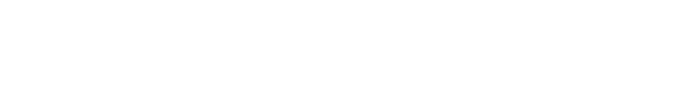 מנורה ERN
